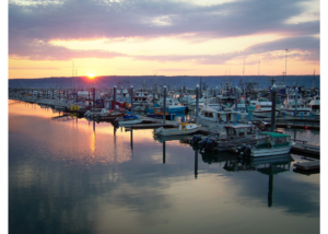 The harbor in scenic Homer, Alaska